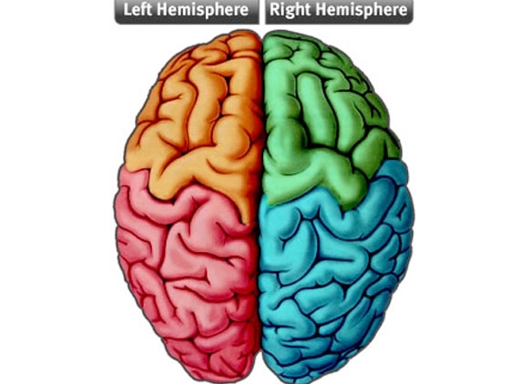 What is Creativity? &quot;BRAIN HEMISPHERES&quot;