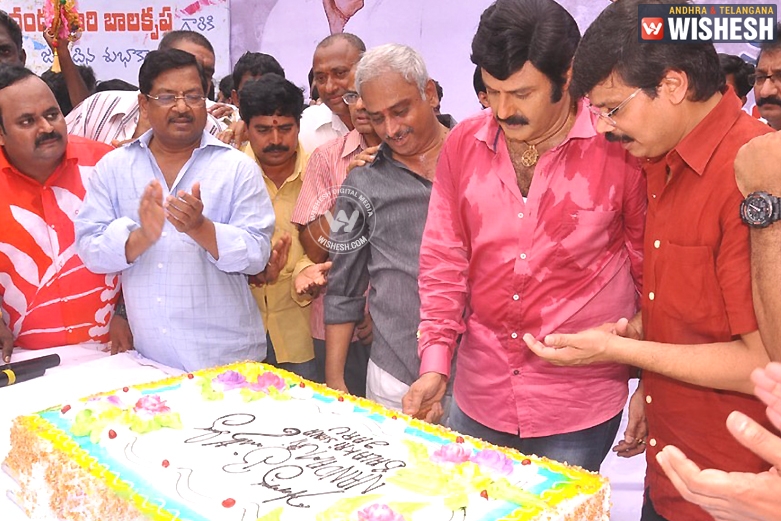 Fan’s to Celebrate Balayya’s Birthday in 56 location