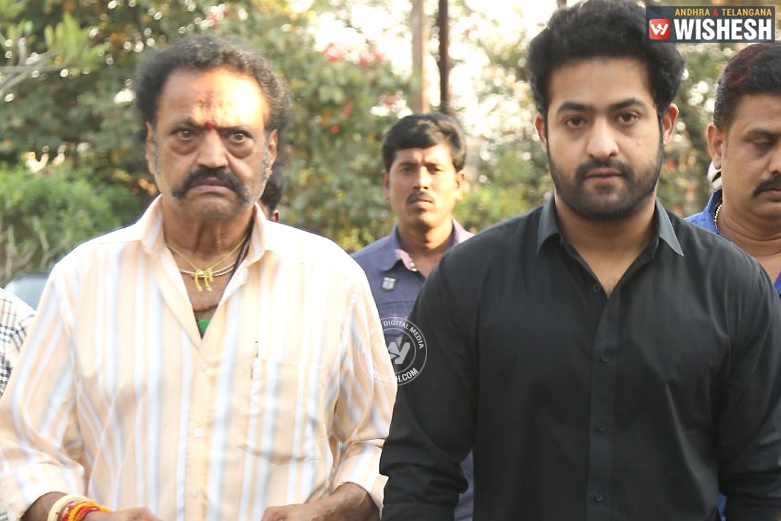 Harikrishna to act with Jr. NTR ?