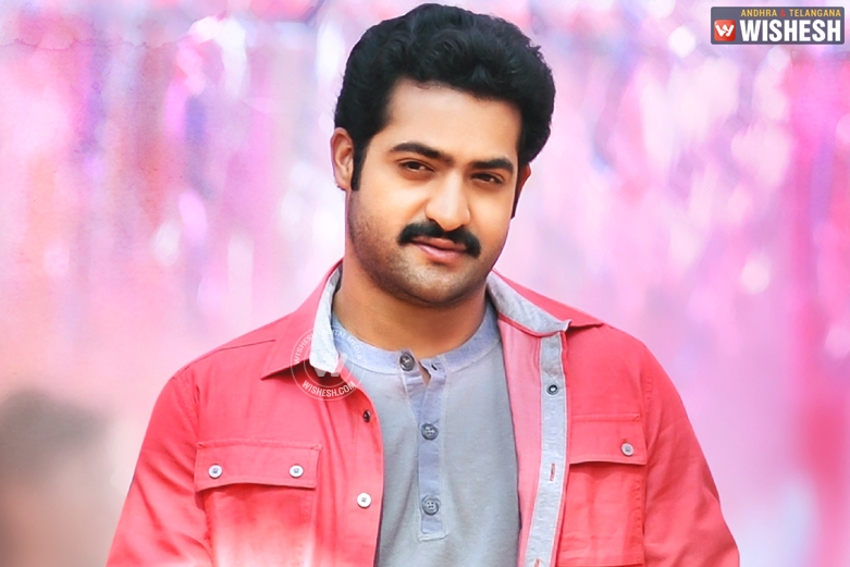 Junior NTR Denies Rumors Of Joining In The 2019 Poll Elections