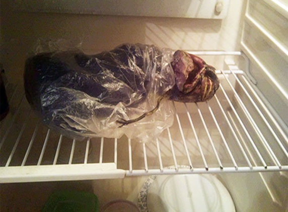Russian woman says, I have an alien in my fridge