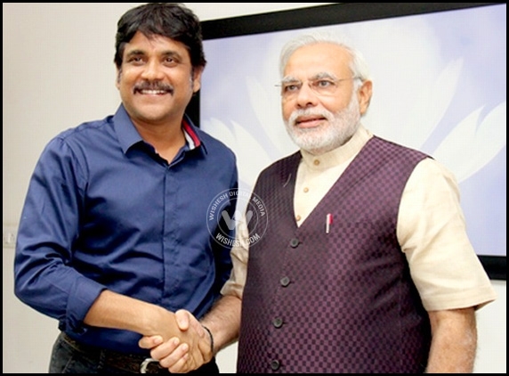 Nagarjuna rules out Amala&#039;s politics