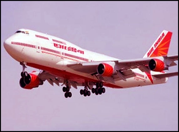 Worm sandwich served to Air India passenger
