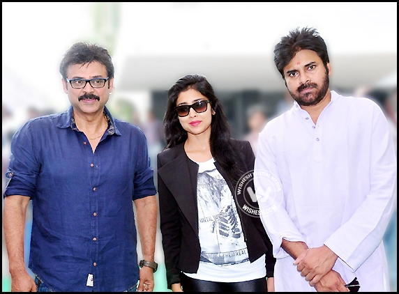 &#039;Gopala Gopala&#039; latest update!