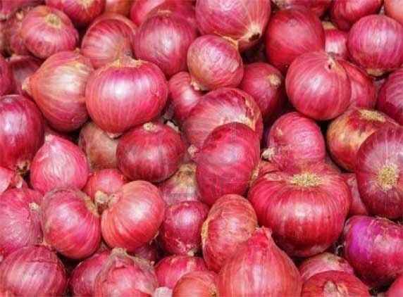 Rise in Price of Onions!