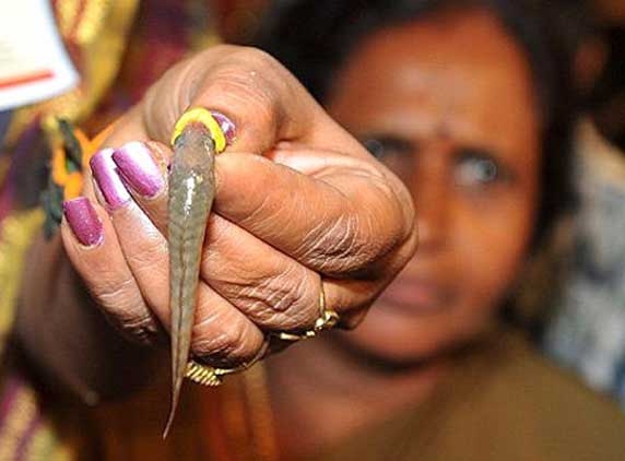 Thousands throng Hyd for fish prasadam